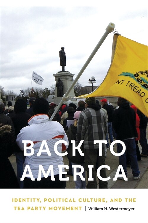Back to America: Identity, Political Culture, and the Tea Party Movement (Paperback)