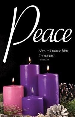 Peace Advent Candle Sunday 4 Bulletin (Pkg of 50) (Other)