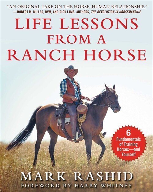 Life Lessons from a Ranch Horse: 6 Fundamentals of Training Horses--And Yourself (Paperback)