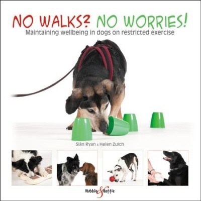 No walks? No worries! : Maintaining wellbeing in dogs on restricted exercise (Paperback)