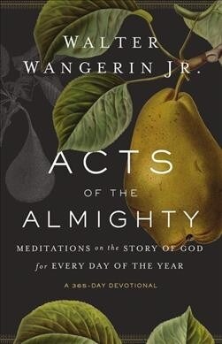 Acts of the Almighty: Meditations on the Story of God for Every Day of the Year (Paperback)