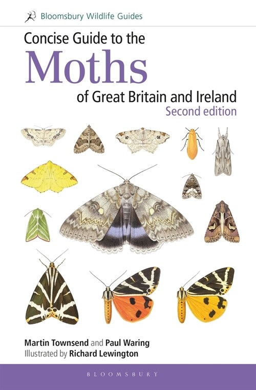 Concise Guide to the Moths of Great Britain and Ireland: Second edition (Spiral Bound)