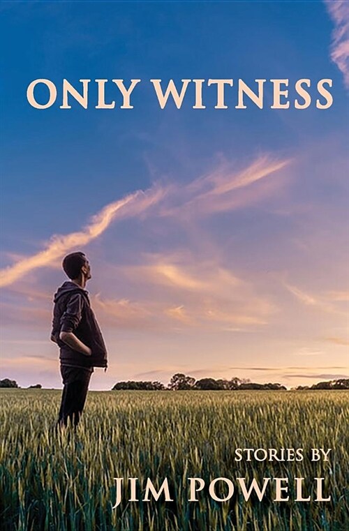 Only Witness (Paperback)
