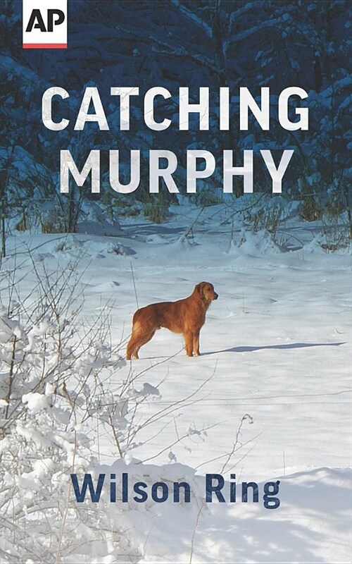 Catching Murphy (Paperback)