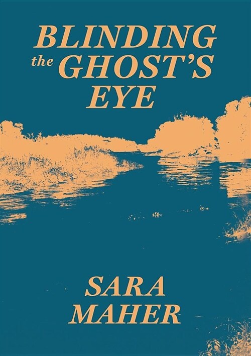 Blinding the Ghosts Eye (Paperback)