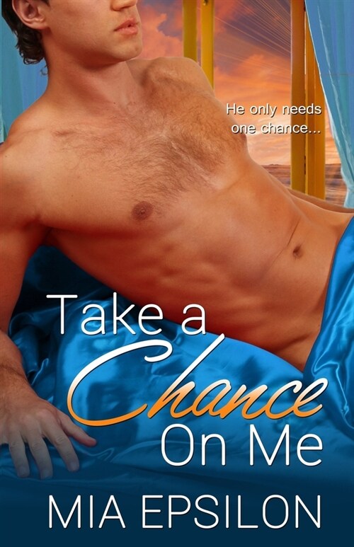 Take a Chance on Me (Paperback)