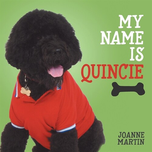 My Name Is Quincie (Paperback)