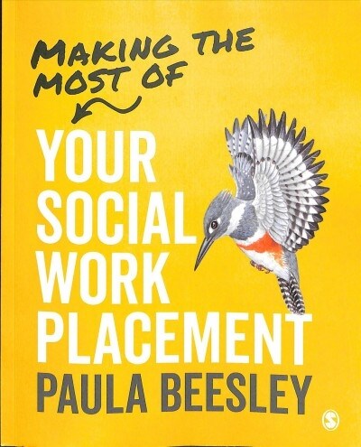 Making the Most of Your Social Work Placement (Paperback)