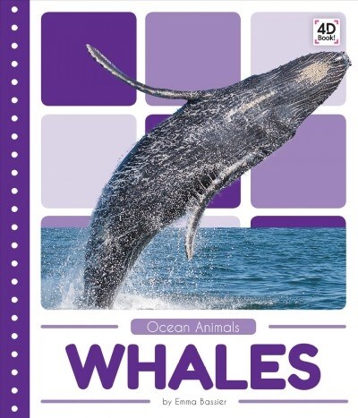 Whales (Other)