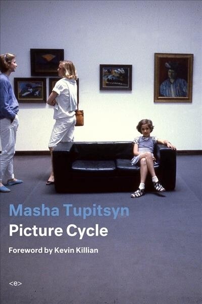 Picture Cycle (Paperback)