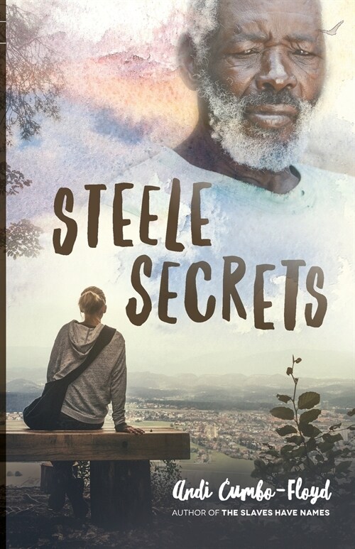 Steele Secrets (Paperback)