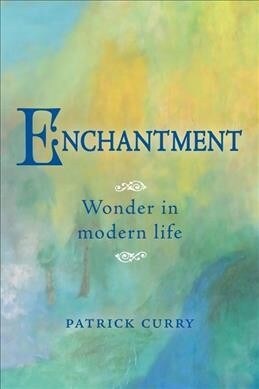 Enchantment : Wonder in Modern Life (Paperback)