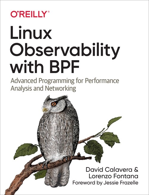 Linux Observability with Bpf: Advanced Programming for Performance Analysis and Networking (Paperback)