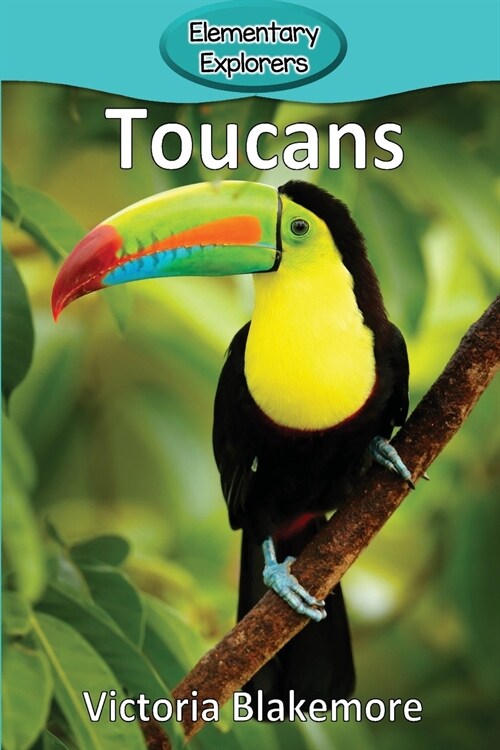 Toucans (Paperback)