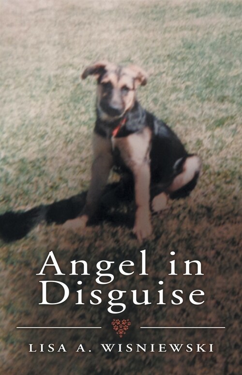 Angel in Disguise (Paperback)