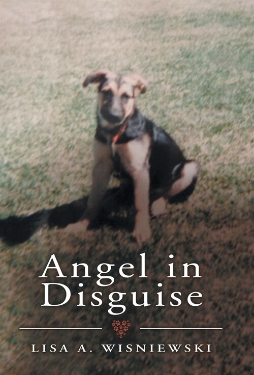 Angel in Disguise (Hardcover)
