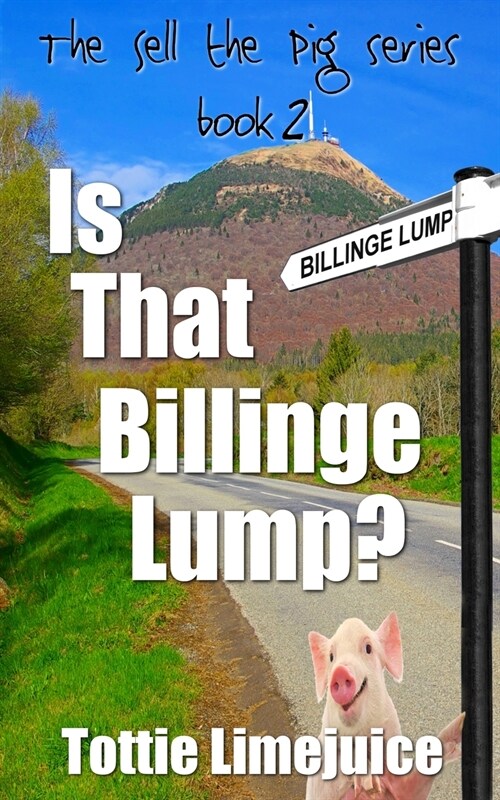 Is That Billinge Lump? (Paperback)