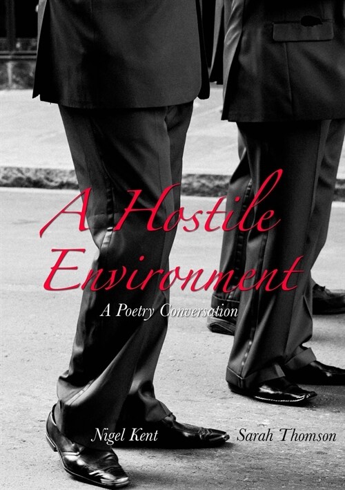 A Hostile Environment (Paperback)