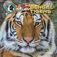 All about Asian Bengal Tigers (Library Binding)