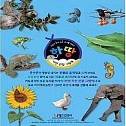 하땅자연관찰 그림책/본책60권 외/최신간새책