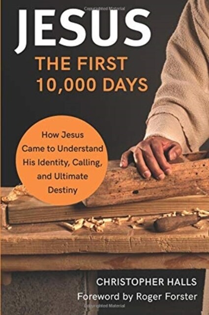 Jesus: The First 10,000 Days : How Jesus Came to Understand His Identity, Calling, and Ultimate Destiny (Paperback)