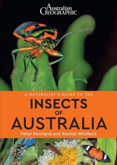 A Naturalists Guide to the Insects of Australia (Paperback)