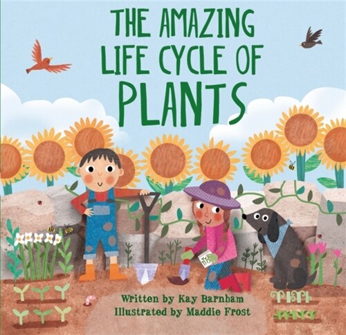 Look and Wonder: The Amazing Plant Life Cycle Story (Paperback)