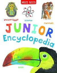 Junior Encyclopedia (Paperback)