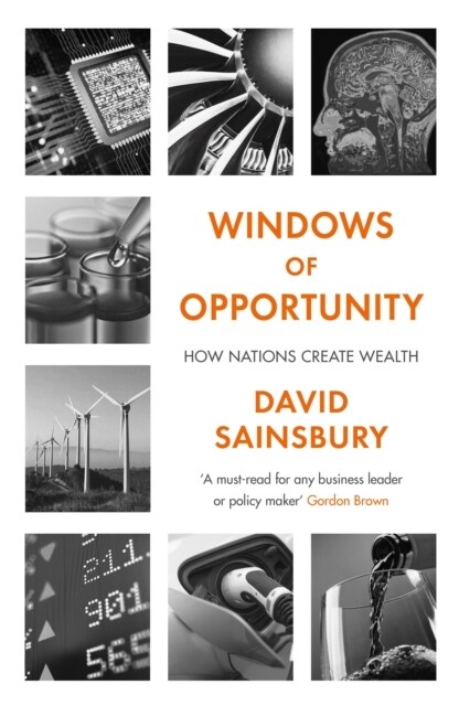 Windows of Opportunity : How Nations Create Wealth (Hardcover, Main)