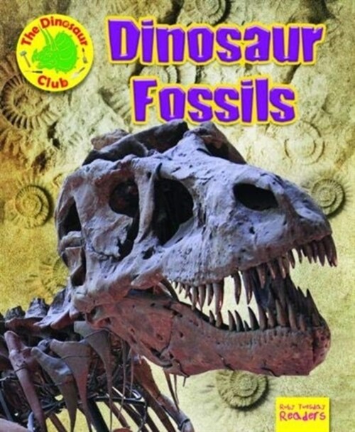 Dinosaur Fossils (Paperback)