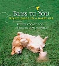 Bliss to You (Hardcover, 1st)