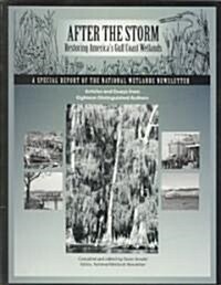 After the Storm (Paperback)