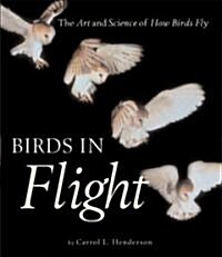 Birds in Flight: The Art and Science of How Birds Fly (Hardcover)