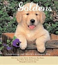 In Praise of Goldens (Hardcover, Illustrated)