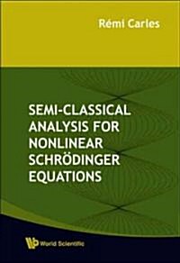 Semi-Classical Analysis for Nonlinear Schrodinger Equations (Hardcover)