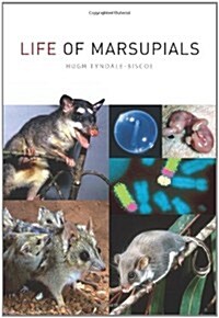 Life of Marsupials (Hardcover)