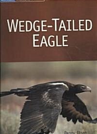 Wedge-Tailed Eagle (Paperback)
