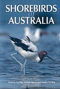 Shorebirds of Australia [op] (Paperback)