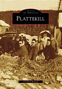Plattekill (Paperback)