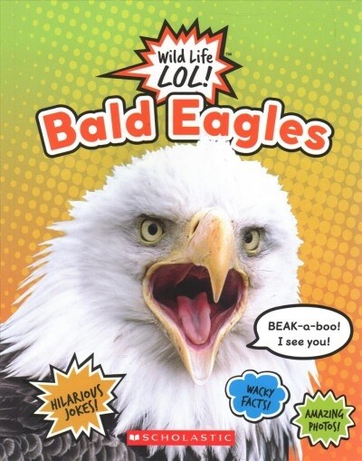 Bald Eagles (Wild Life Lol!) (Paperback)