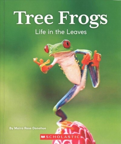 Tree Frogs: Life in the Leaves (Natures Children) (Paperback)
