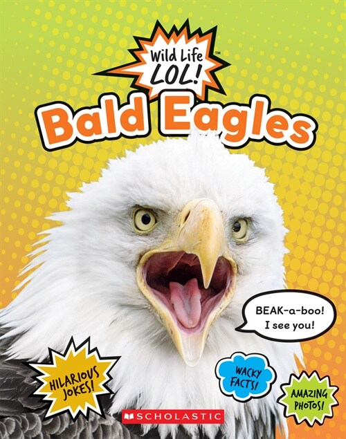 Bald Eagles (Wild Life Lol!) (Library Binding, Library)