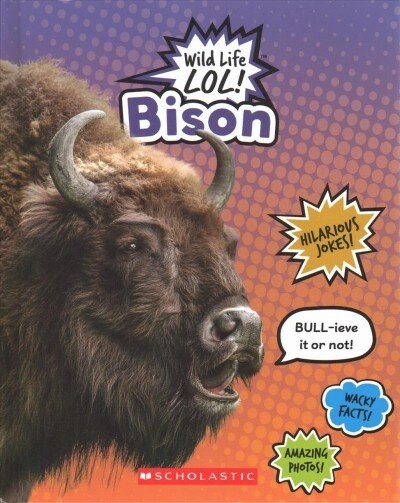 Bison (Wild Life Lol!) (Library Binding, Library)