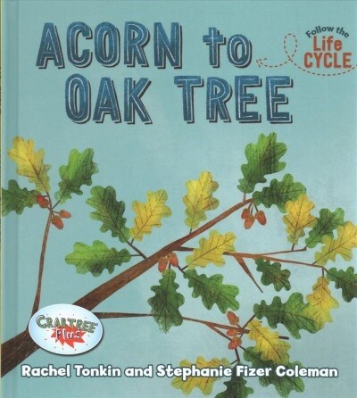 Acorn to Oak Tree (Library Binding)