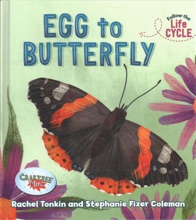 Egg to Butterfly (Library Binding)