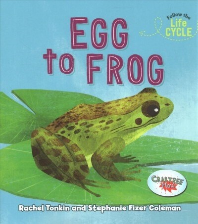 Egg to Frog (Paperback)