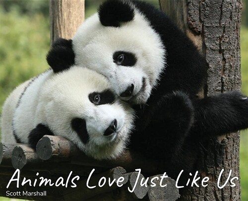 Animals Love Just Like Us (Hardcover)