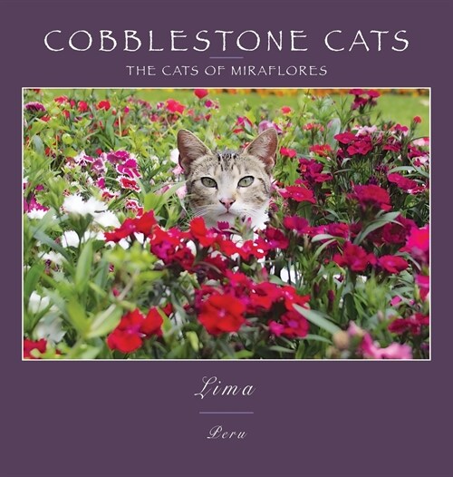 Cobblestone Cats - Lima: The Cats of Miraflores (Hardcover)