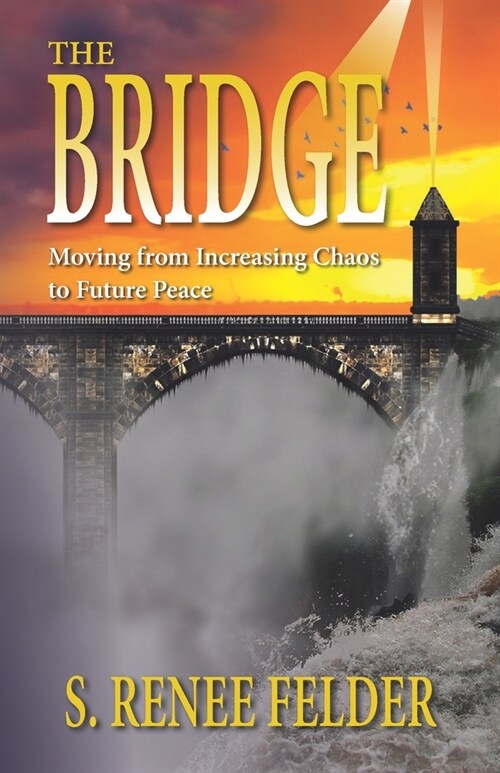 The Bridge: Moving from Present Chaos to Future Peace During the Next Financial Crisis (Paperback)