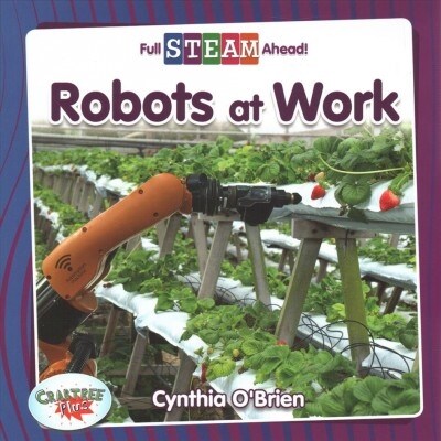 Robots at Work (Paperback)